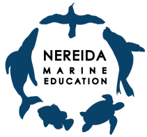 NereidaMarineLogoWebTransparent